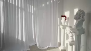 Фотография Век 1