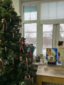 Фотография К2 3